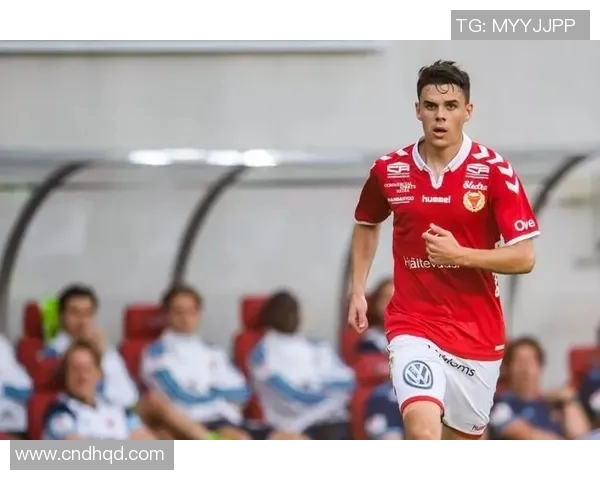 埃斯基尔与埃尔夫斯激战在即谁能在这场较量中笑到最后