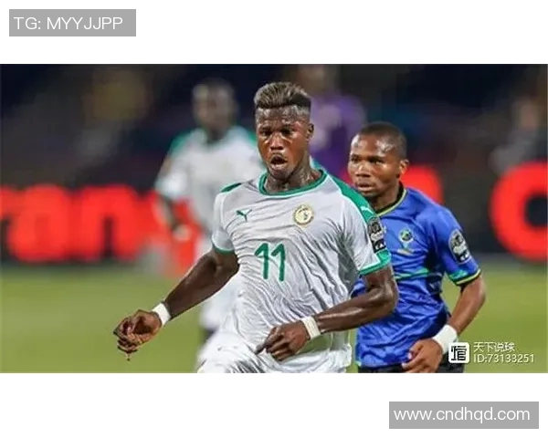 塞内加尔与坦桑尼亚激战在即谁将赢得这场非洲足球盛宴