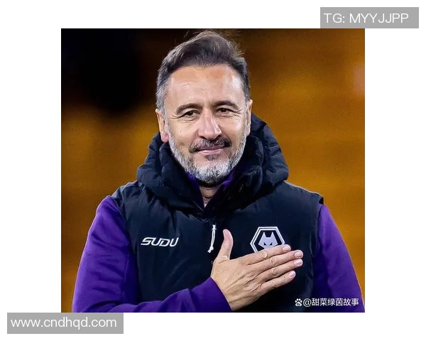 热刺对阵狼队足球比赛直播精彩瞬间回顾与分析