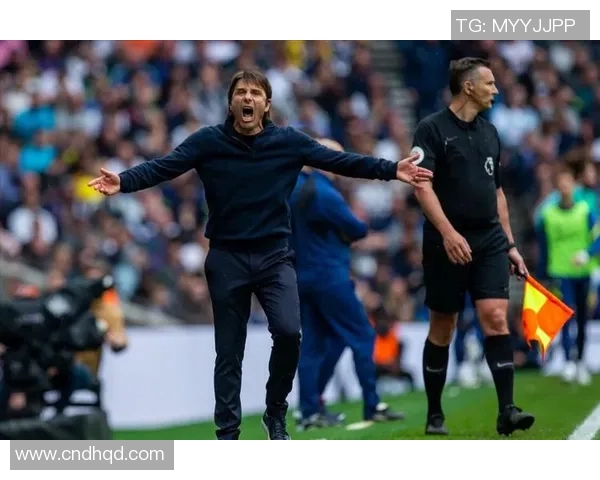 圣胡安圣马丁与老虎竞技的精彩对决引发球迷热议